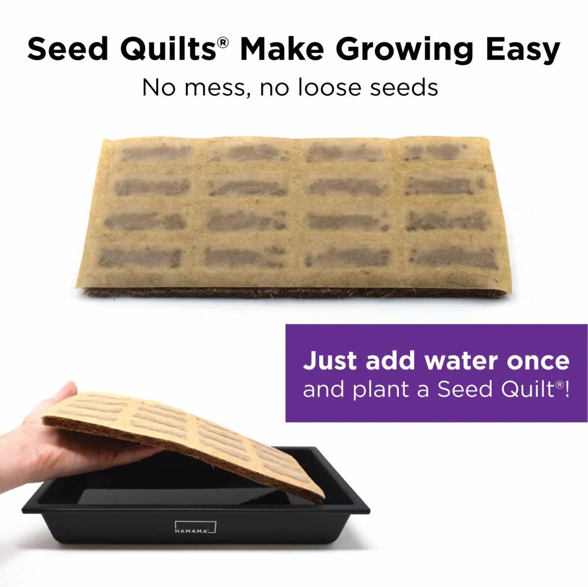 Ceramic Microgreen Starter Kit Indoor Plant - Mental Houseplants™