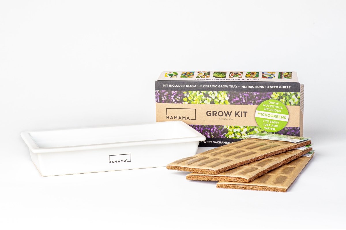 Ceramic Microgreen Starter Kit Indoor Plant - Mental Houseplants™