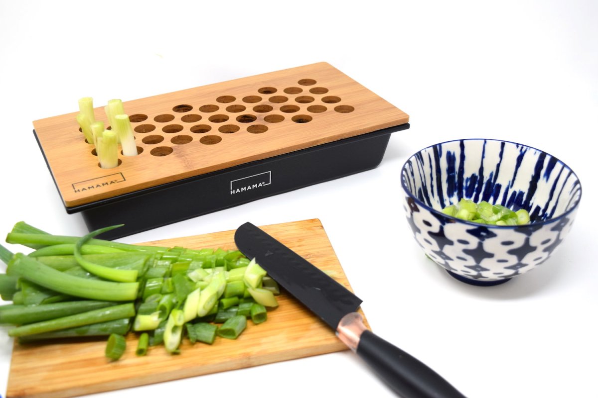 Green Onion Lid Insert Indoor Plant - Mental Houseplants™