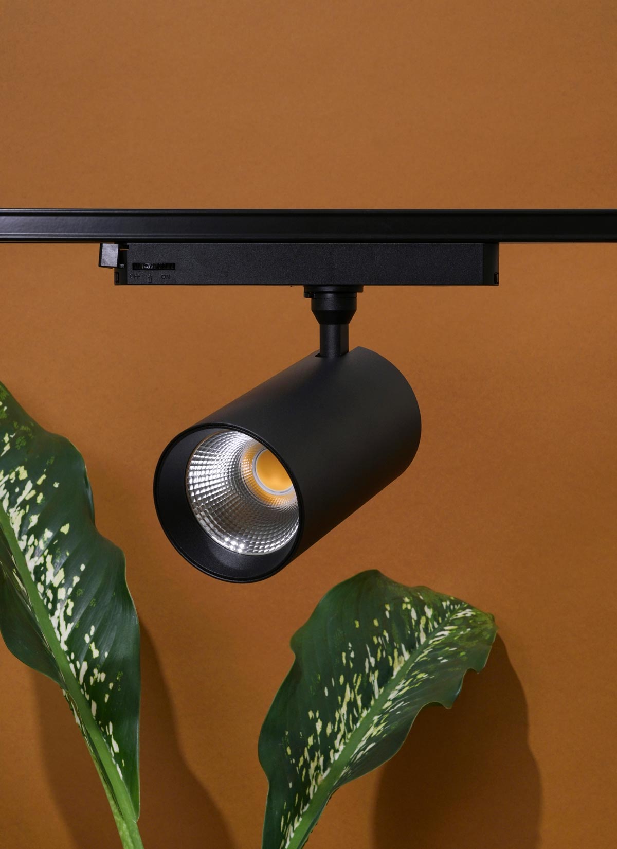 Hardwired Highland™ Track Light System Indoor Plant - Mental Houseplants™