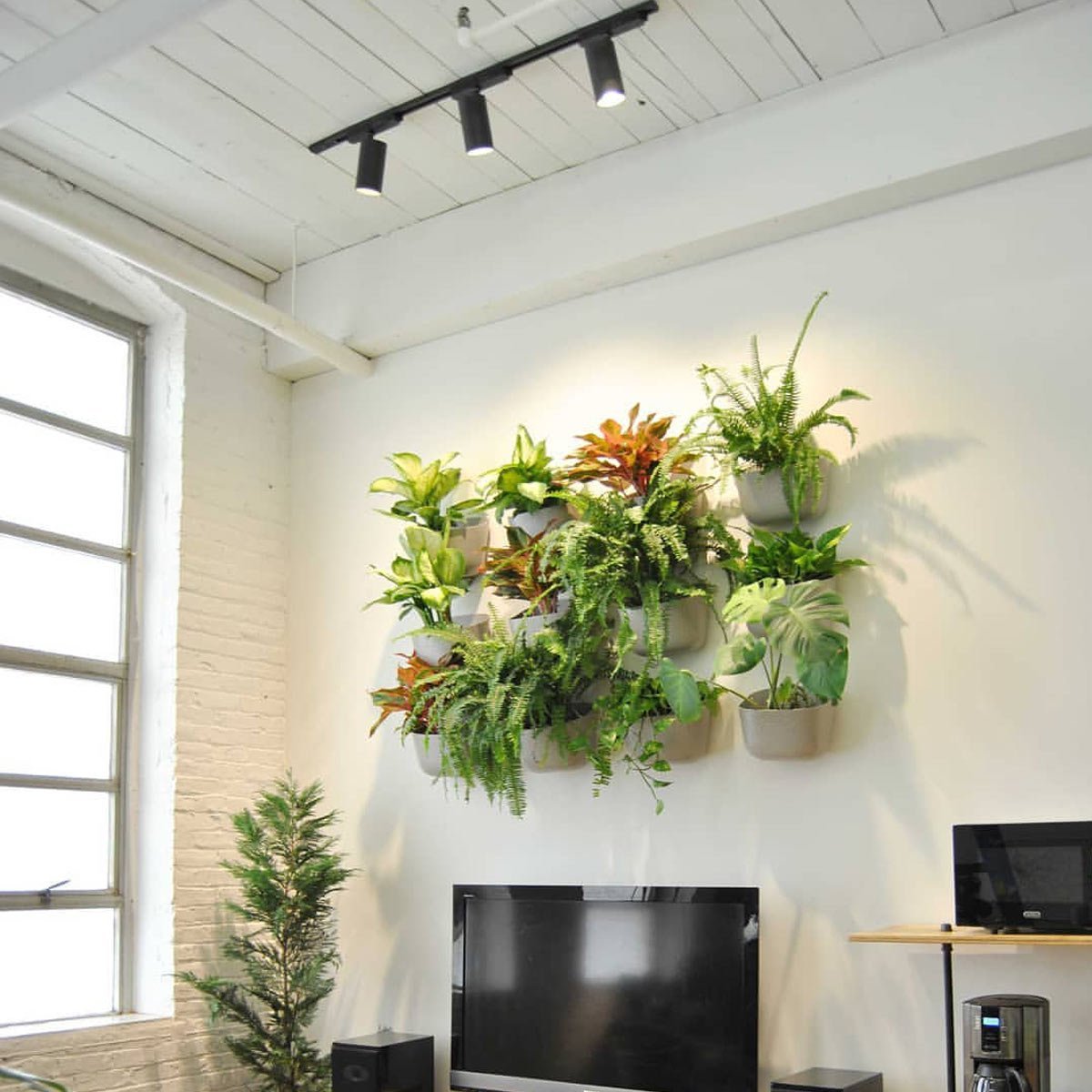 Hardwired Highland™ Track Light System Indoor Plant - Mental Houseplants™