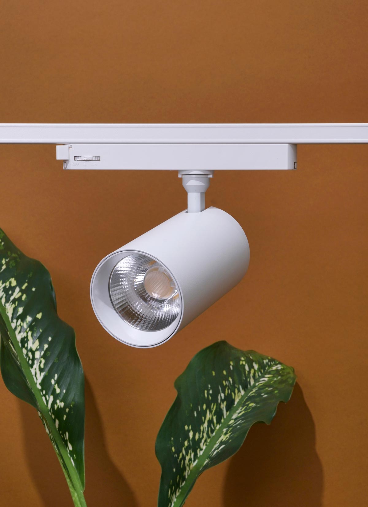 Hardwired Highland™ Track Light System Indoor Plant - Mental Houseplants™