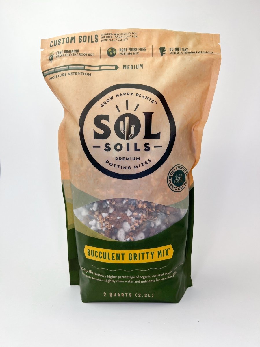 Succulent Gritty Mix Indoor Plant - Mental Houseplants™