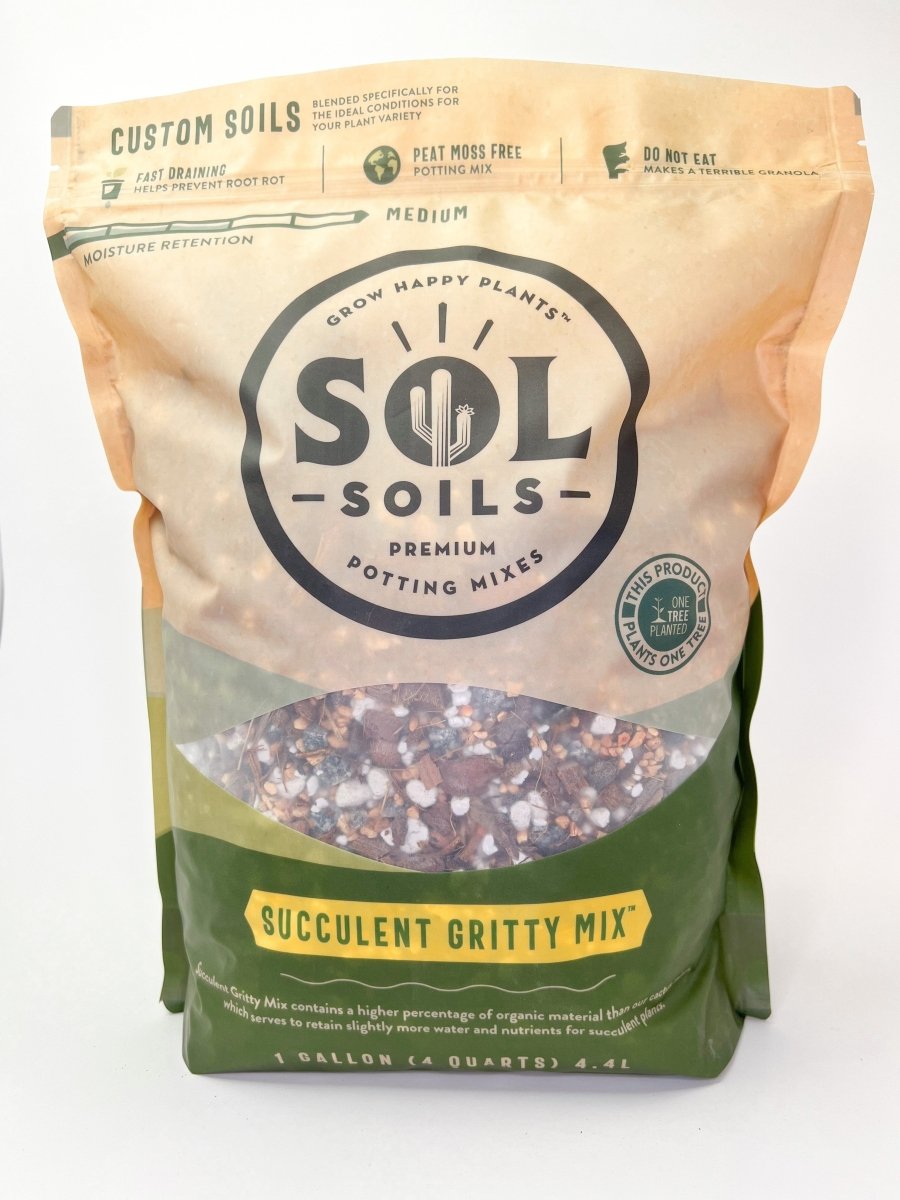 Succulent Gritty Mix Indoor Plant - Mental Houseplants™