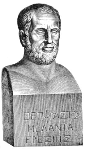 Theophrastus: The Father of Botany - Mental Houseplants™