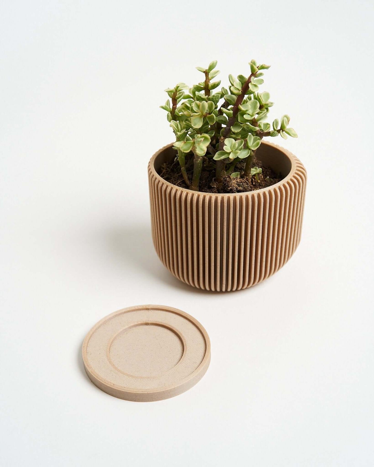 IONIC™ Modern Ribbed Planter