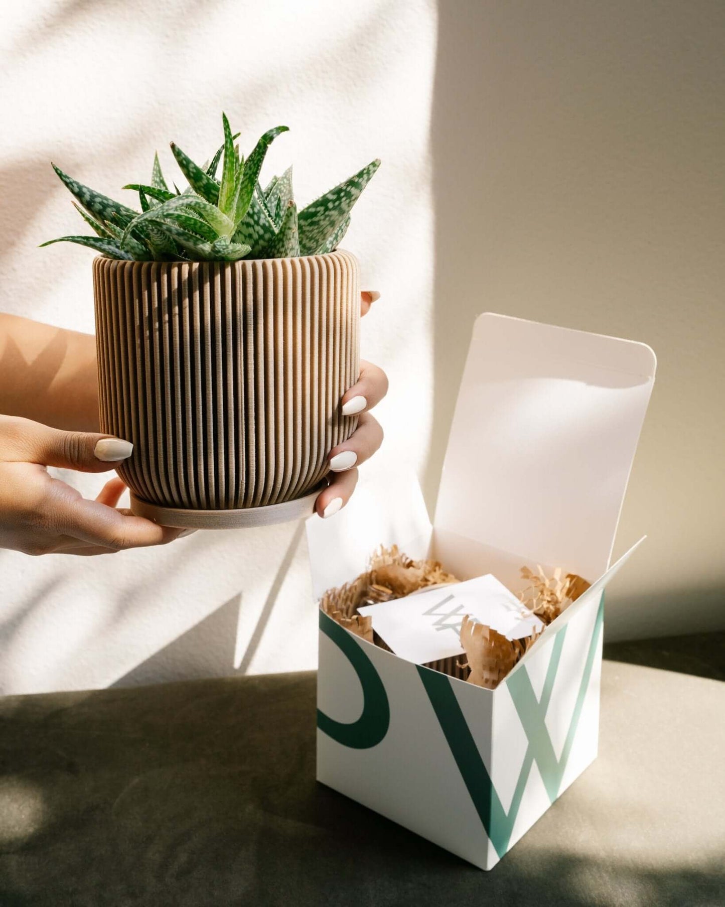 IONIC™ Modern Ribbed Planter