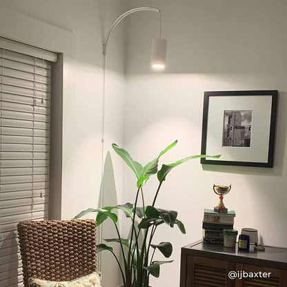Archetto - Transparent Wall Mount Indoor Plant - Mental Houseplants™