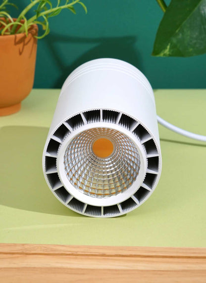Aspect™ LED Growlight Indoor Plant - Mental Houseplants™