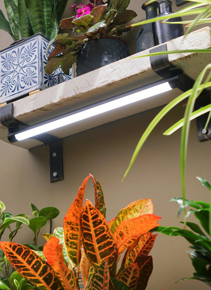 Grove™ LED Grow Light Indoor Plant - Mental Houseplants™