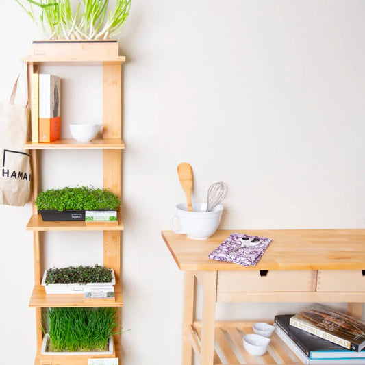Grow Shelf Indoor Plant - Mental Houseplants™