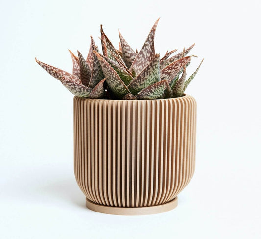 IONIC™ Beige Unique Flower Pot Indoor Plant - Mental Houseplants™