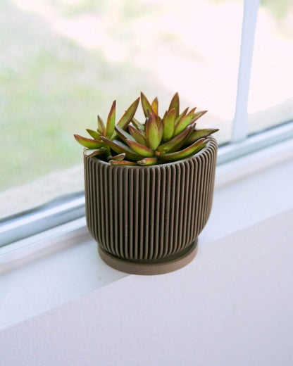 IONIC™ Brown Succulent Pot Indoor Plant - Mental Houseplants™