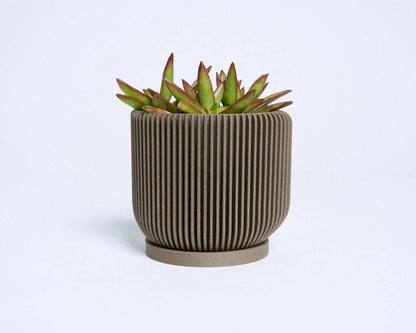 IONIC™ Brown Succulent Pot Indoor Plant - Mental Houseplants™