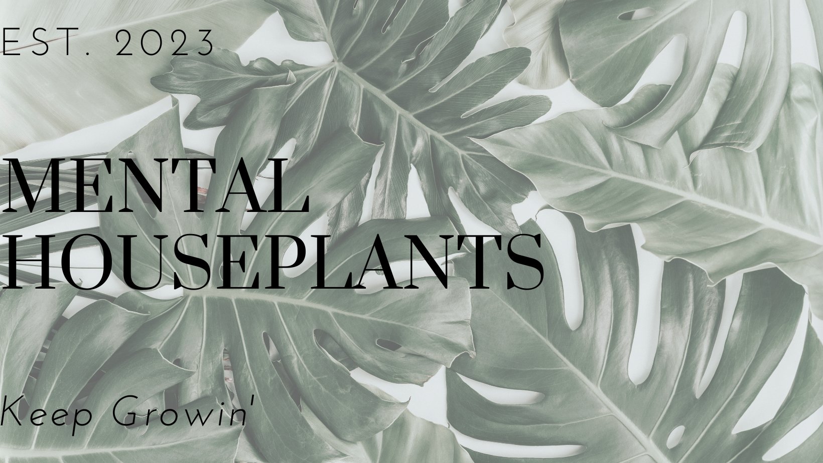 MHP Gift Card Indoor Plant - Mental Houseplants™