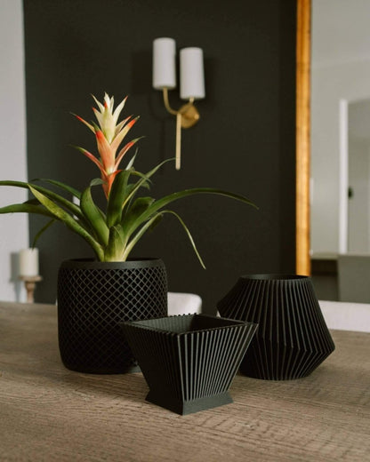 SUNRISE™ Black Square Planter Indoor Plant - Mental Houseplants™