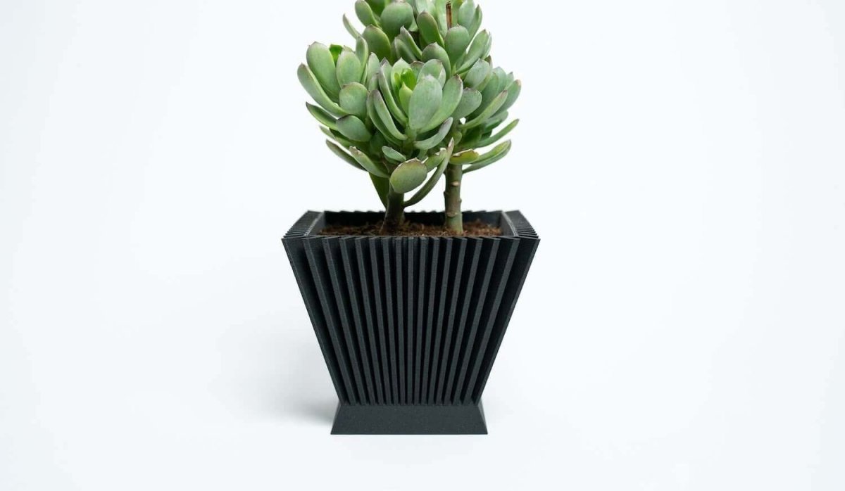 SUNRISE™ Black Square Planter Indoor Plant - Mental Houseplants™