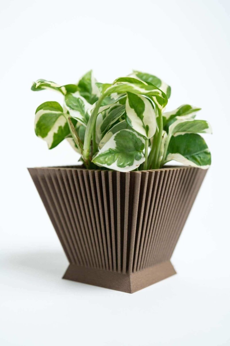 SUNRISE™ Brown Square Plant Pot Indoor Plant - Mental Houseplants™