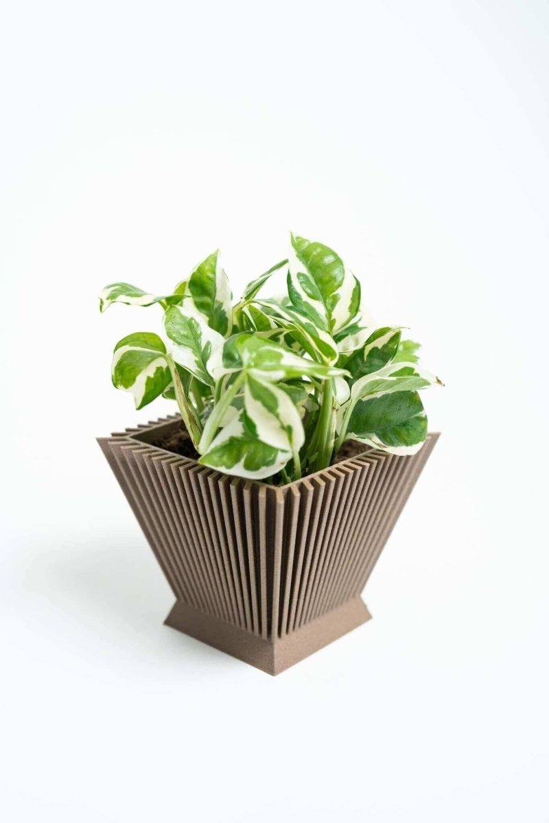 SUNRISE™ Brown Square Plant Pot Indoor Plant - Mental Houseplants™