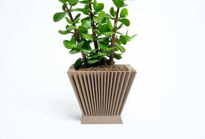 SUNRISE™ Brown Square Plant Pot Indoor Plant - Mental Houseplants™